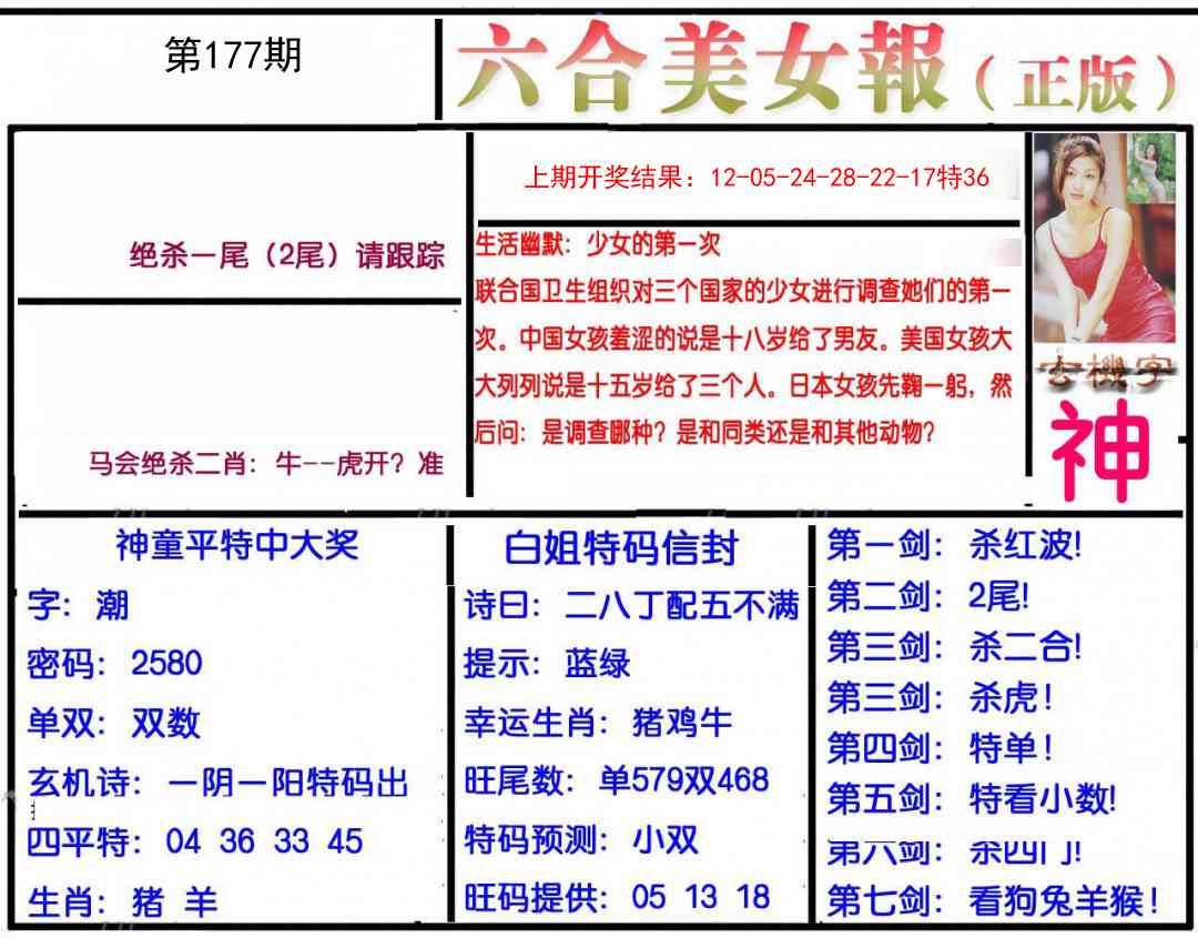 177期美女报[图]