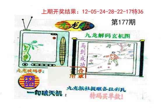 177期九龙报[图]