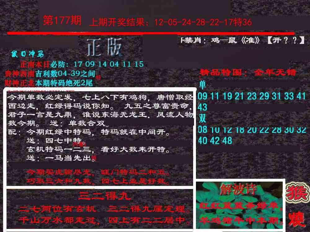 177期新港内幕[图]