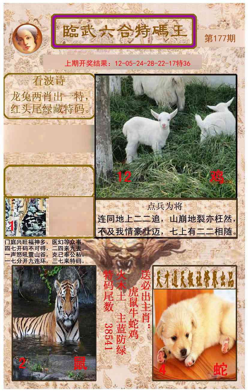 177期临武六合特码王[图]
