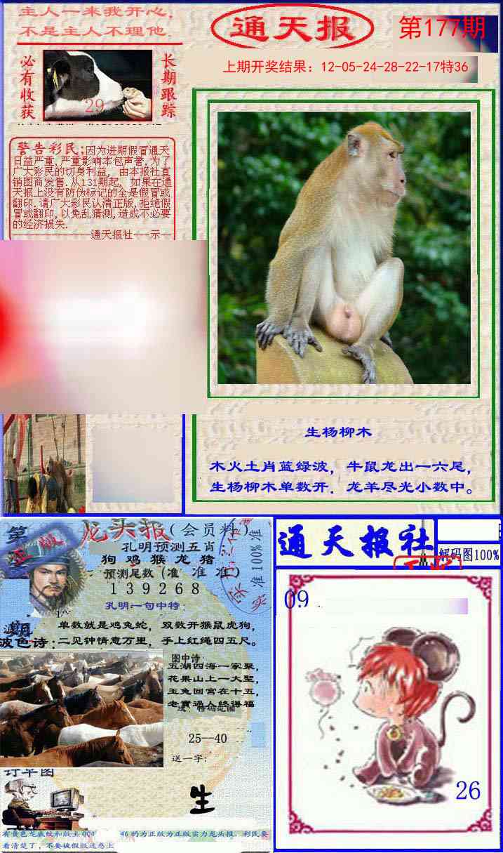 177期实力通天报[图]