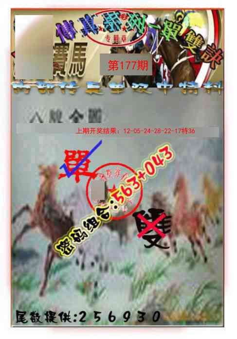 177期马会传真-单双诀[图]