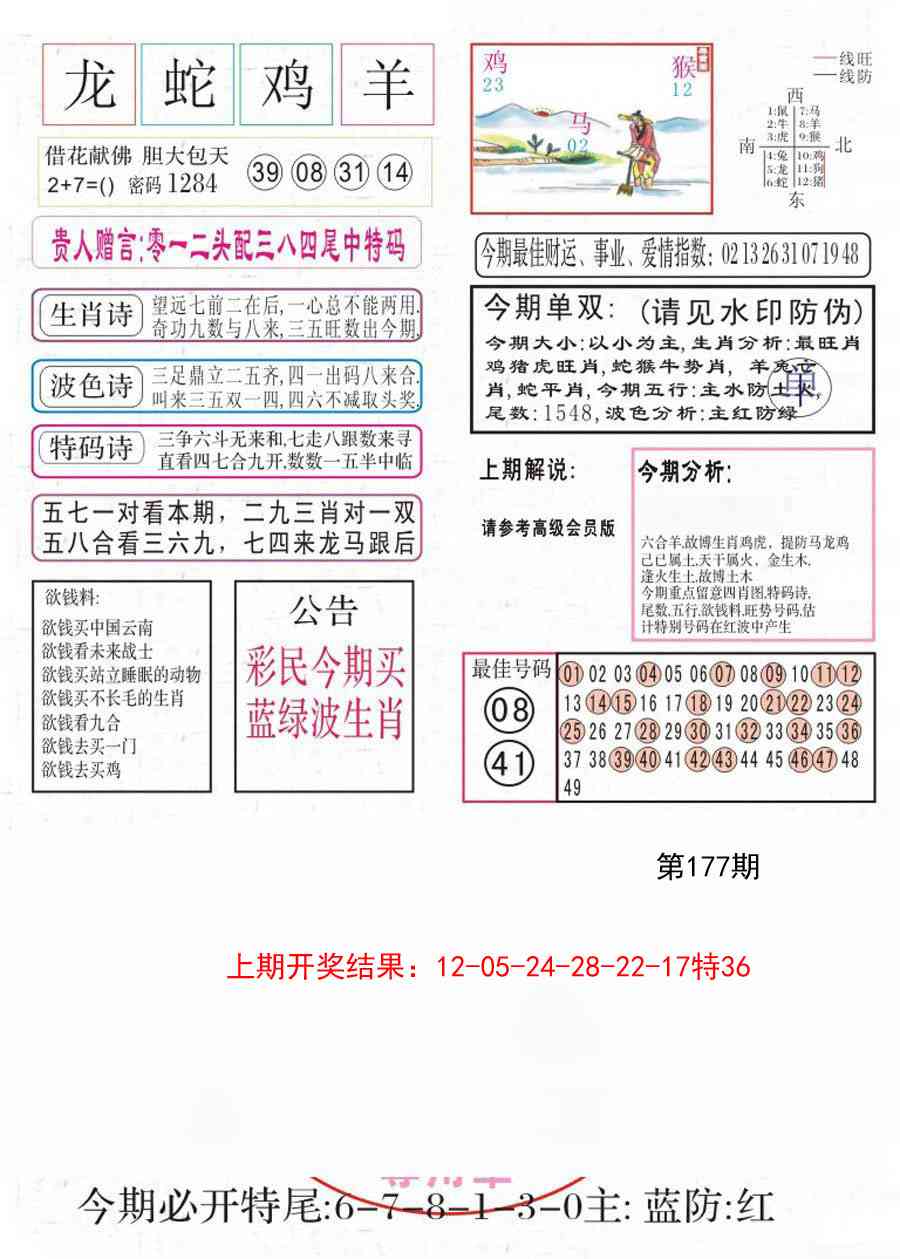 177期凤凰闲情A[图]