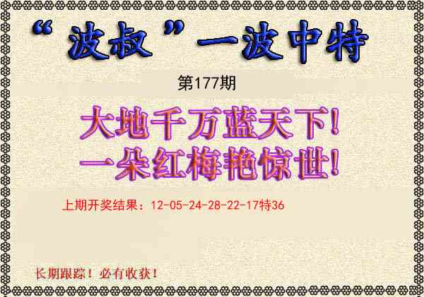 177期波叔一波中特[图]