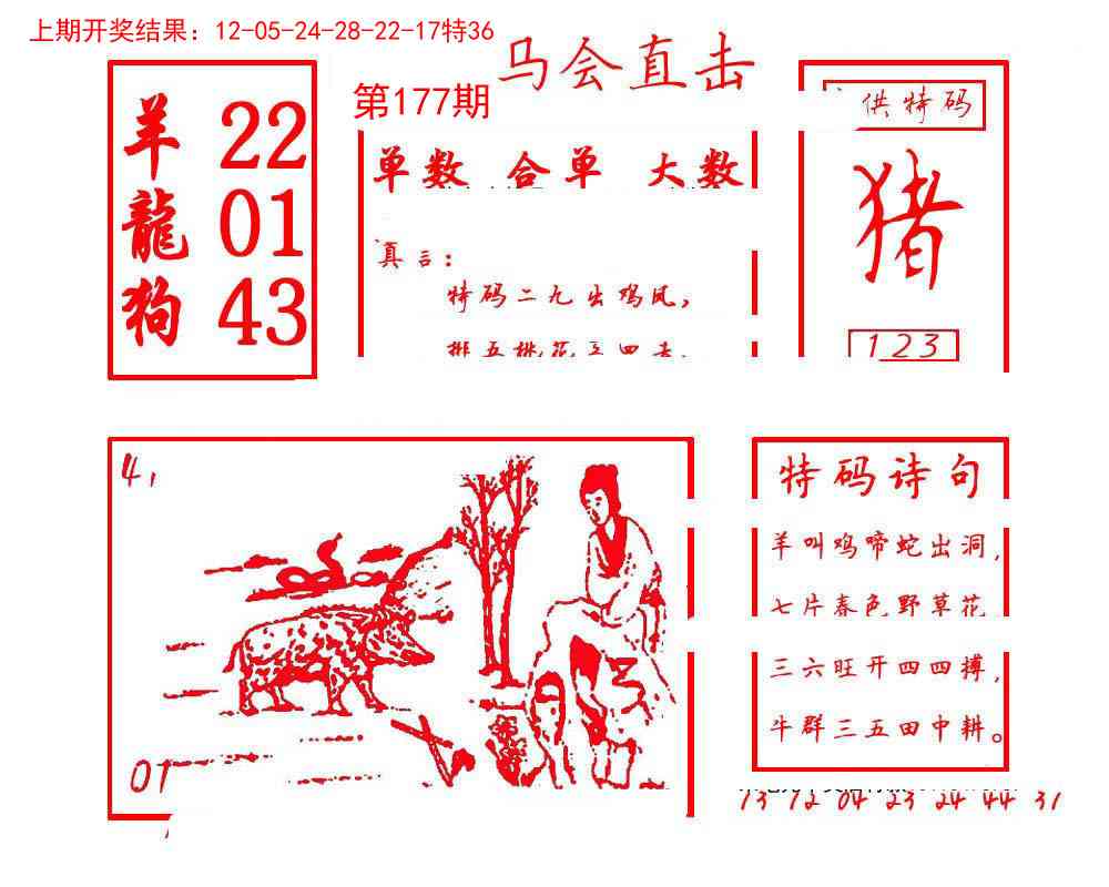 177期马会直击[图]