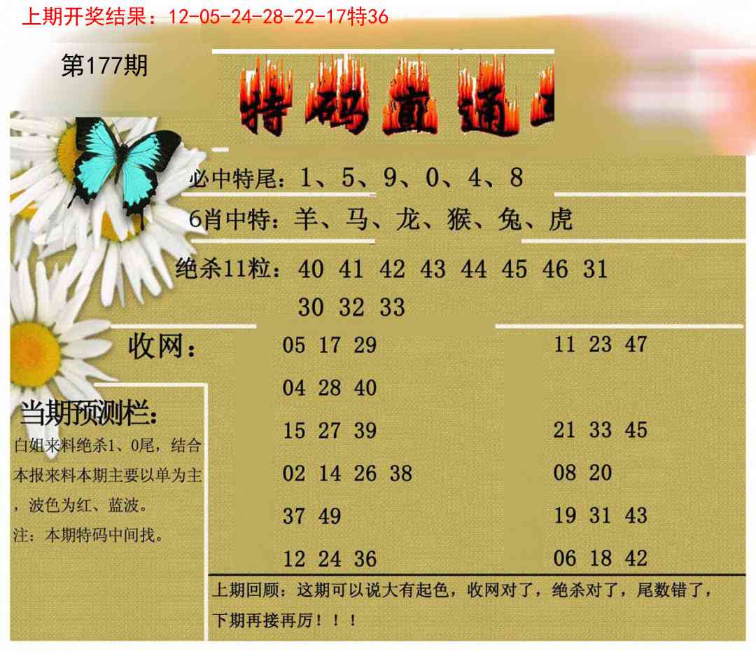 177期特码直通车[图]