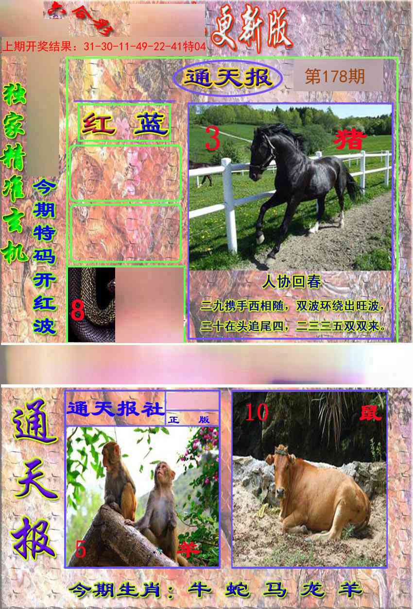 178期新通报[图]