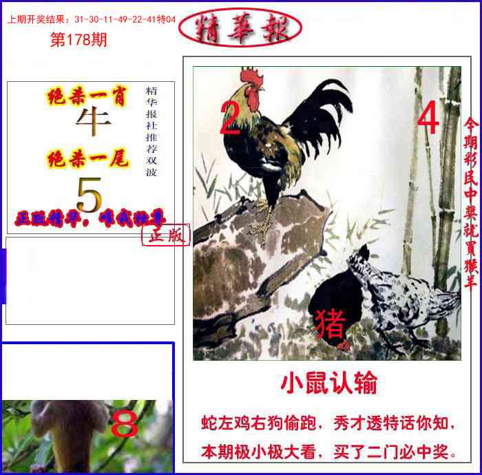 178期新精华报报[图]