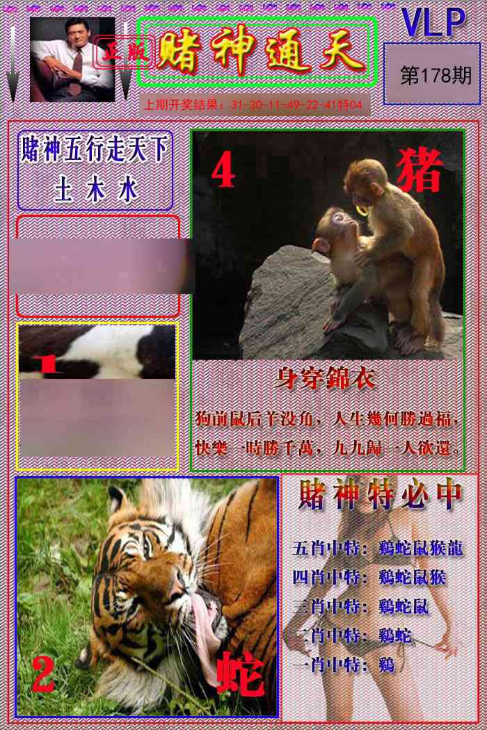 178期赌神通天报[图]