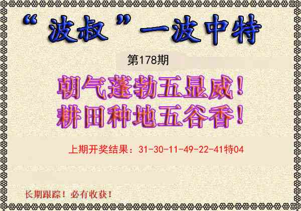 178期波叔一波中特[图]