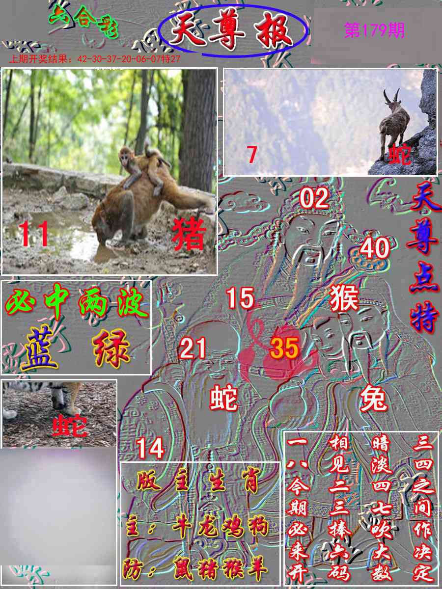 179期天尊报[图]