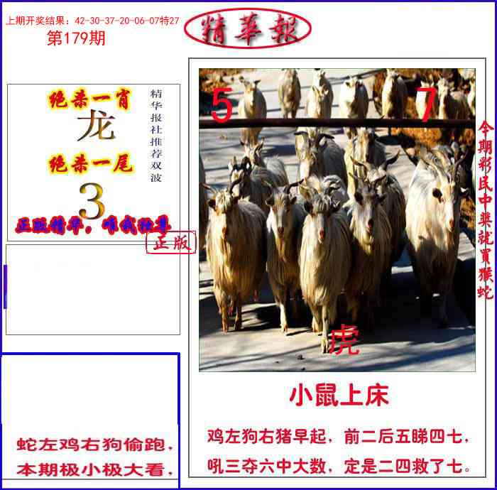 179期新精华报报[图]
