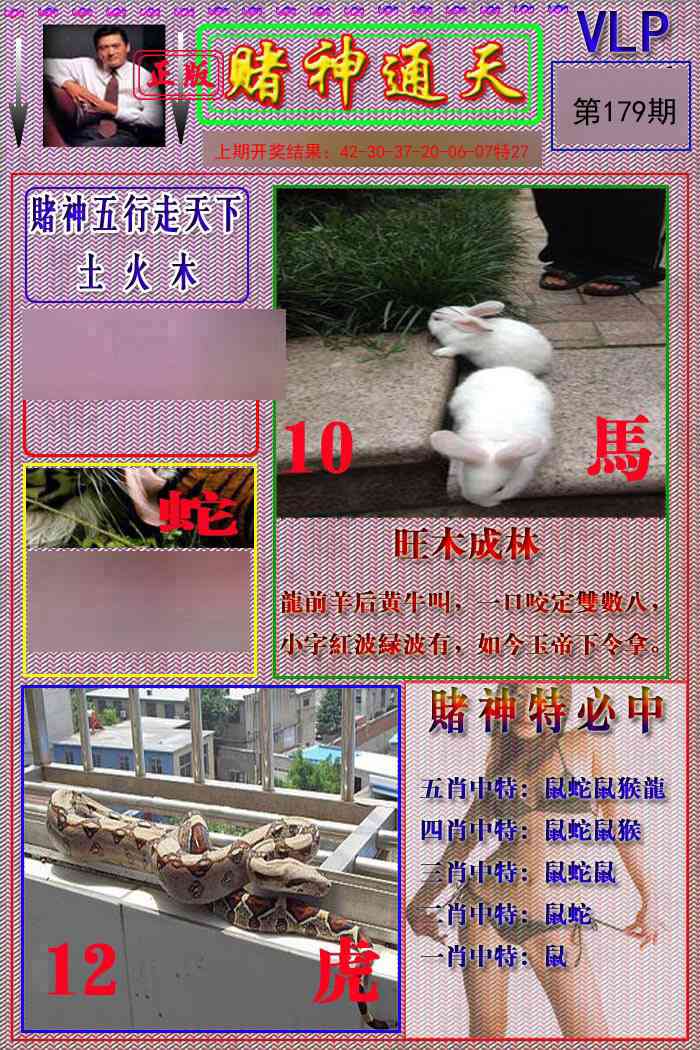 179期赌神通天报[图]