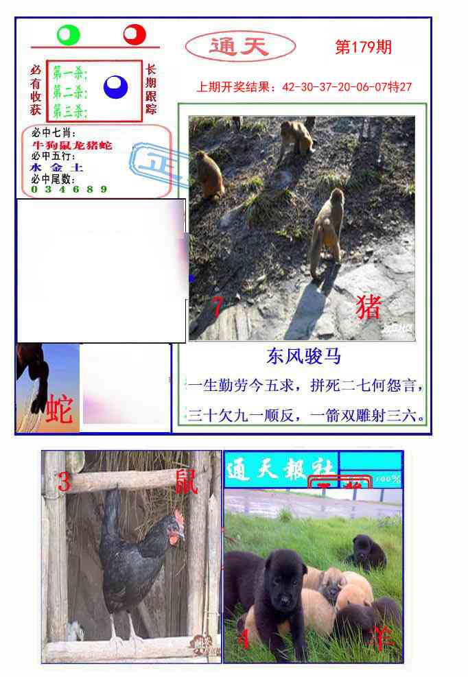 179期通天杀波图2[图]