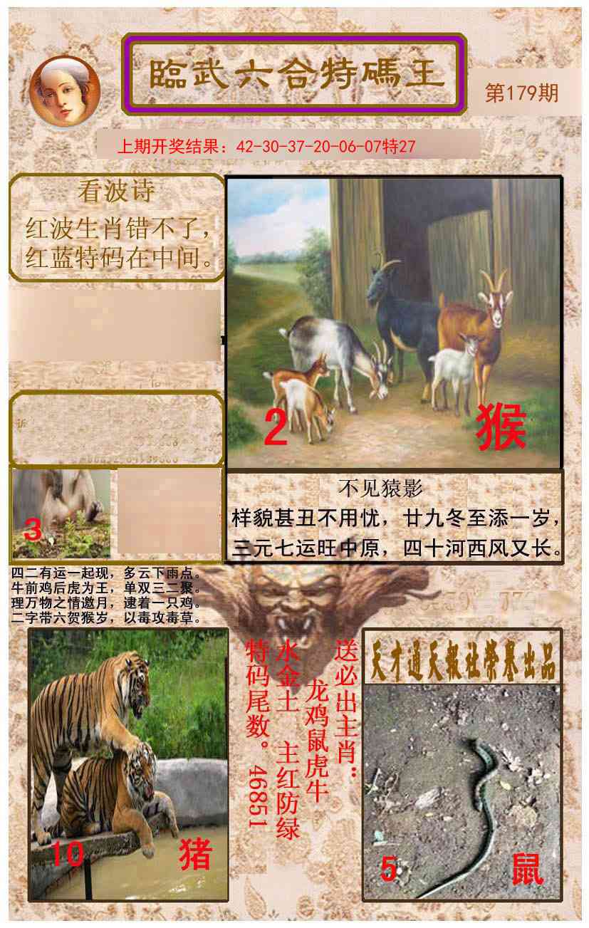 179期临武六合特码王[图]