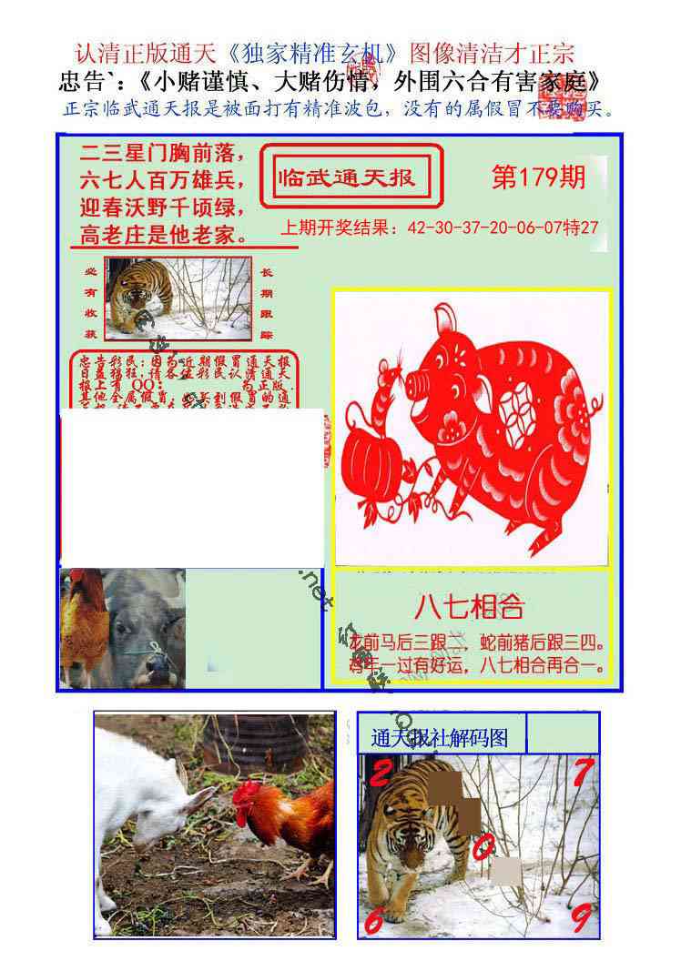 179期临武通天报[图]