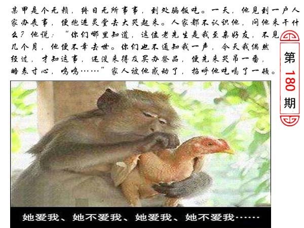 180期澳门生活幽默[图]
