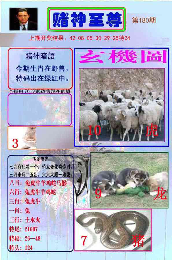 180期赌神至尊[图]