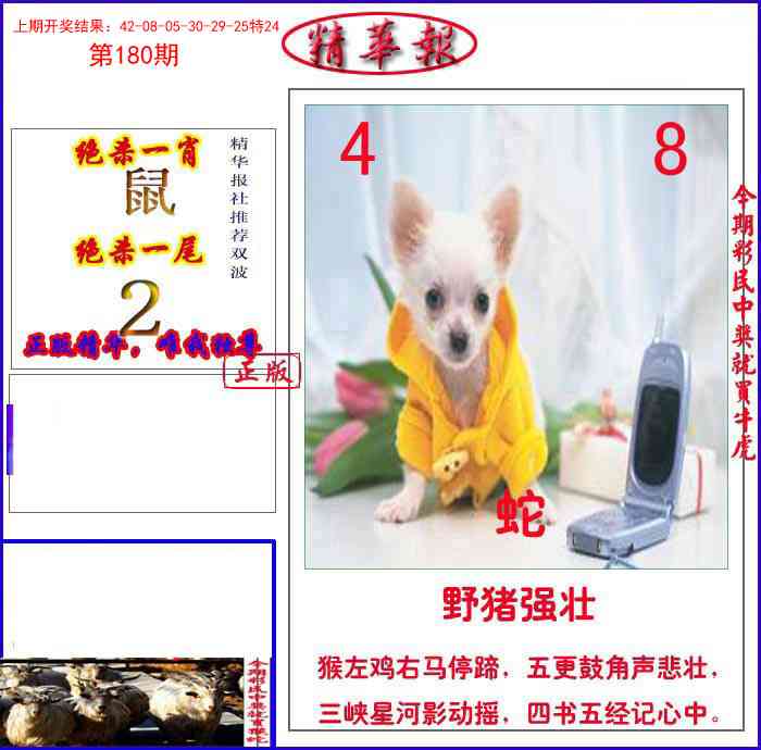 180期新精华报报[图]