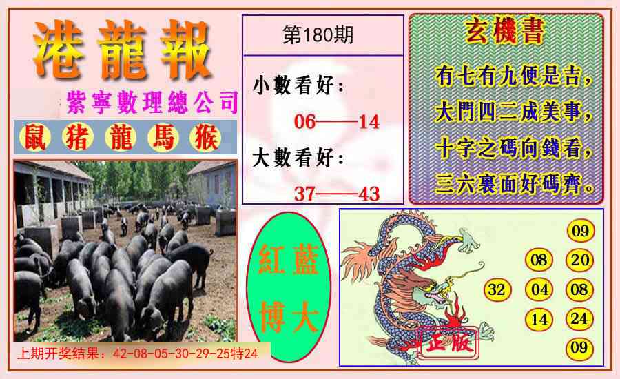180期港龙报[图]