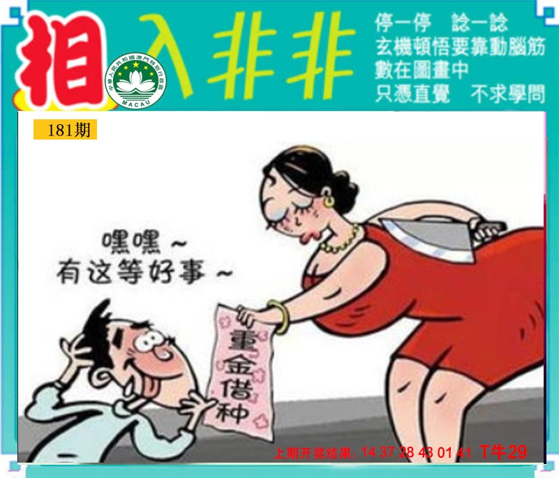 181期相入非非[图]