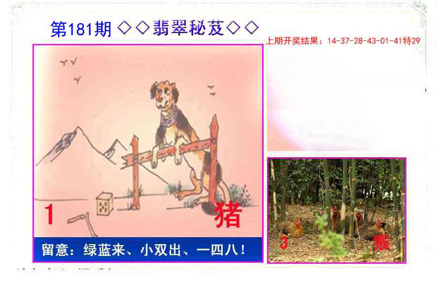 181期翡翠报[图]