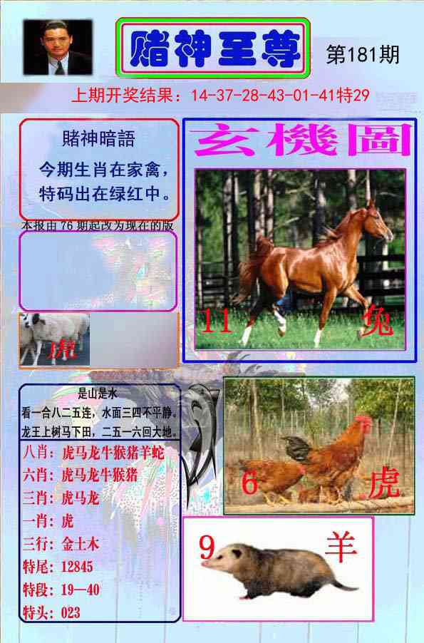 181期赌神至尊[图]