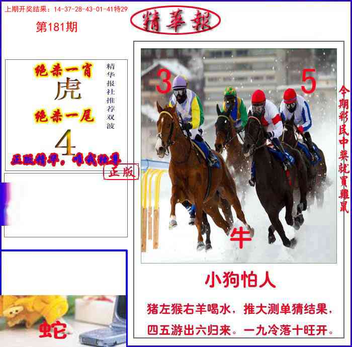 181期新精华报报[图]