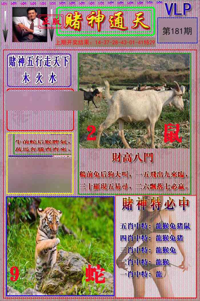 181期赌神通天报[图]