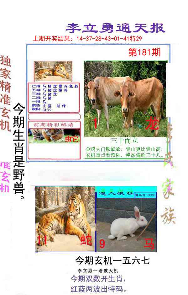 181期李立勇通天报[图]