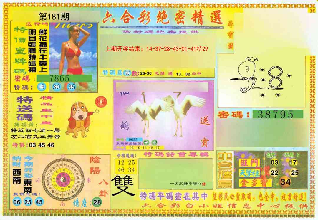 181期绝密精选A[图]