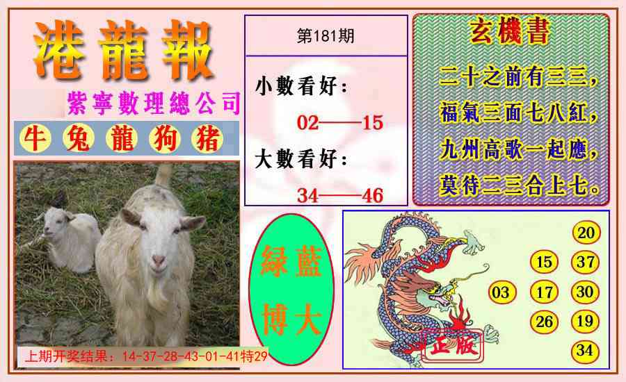 181期港龙报[图]