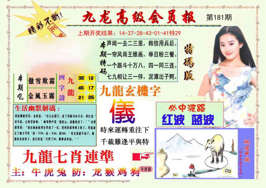 181期九龙高级会员报[图]