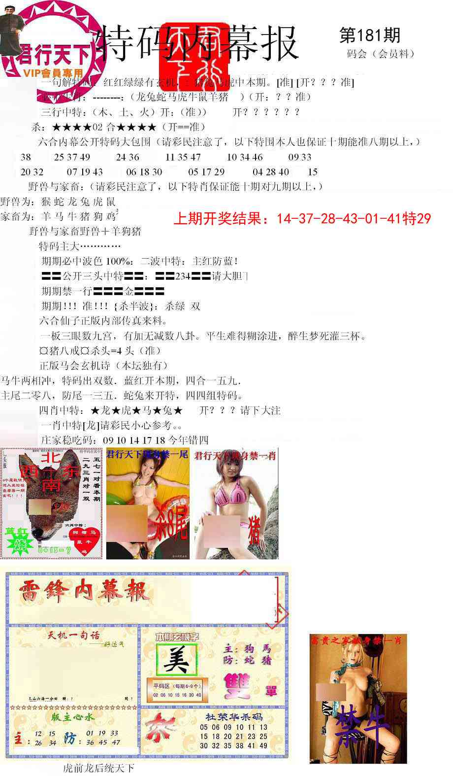 181期特码内幕报[图]