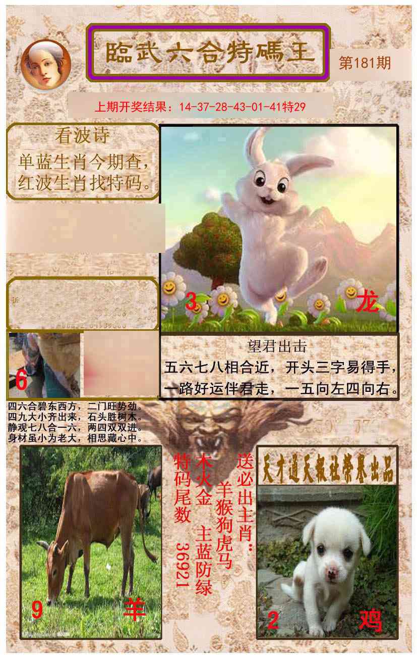 181期临武六合特码王[图]