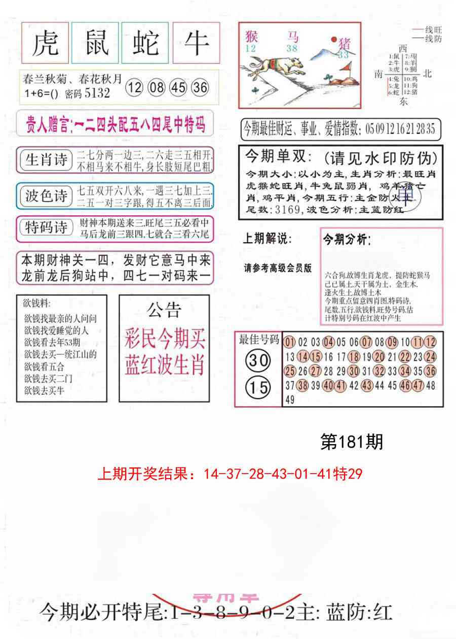 181期凤凰闲情A[图]