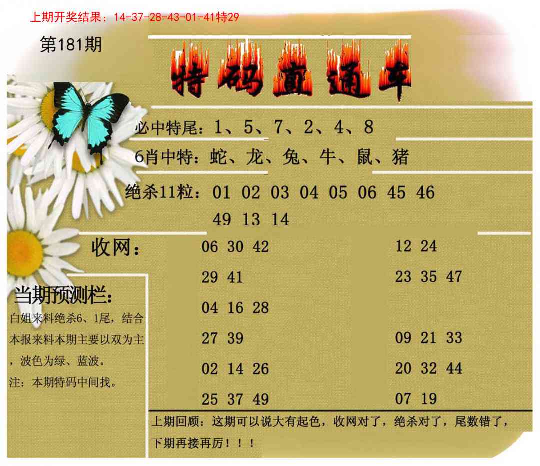 181期特码直通车[图]