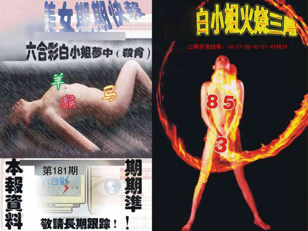 181期环球美女特码报[图]