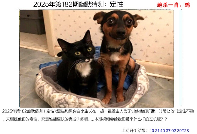 182期幽默猜测[图]