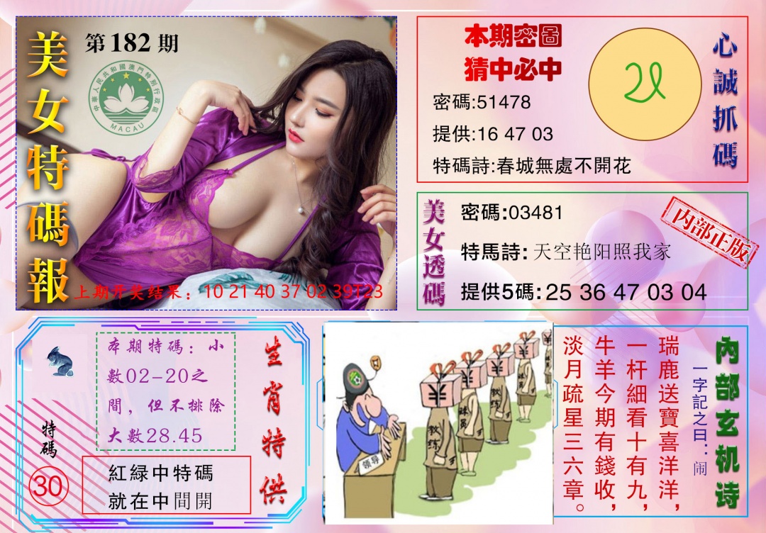 182期美女特码报[图]