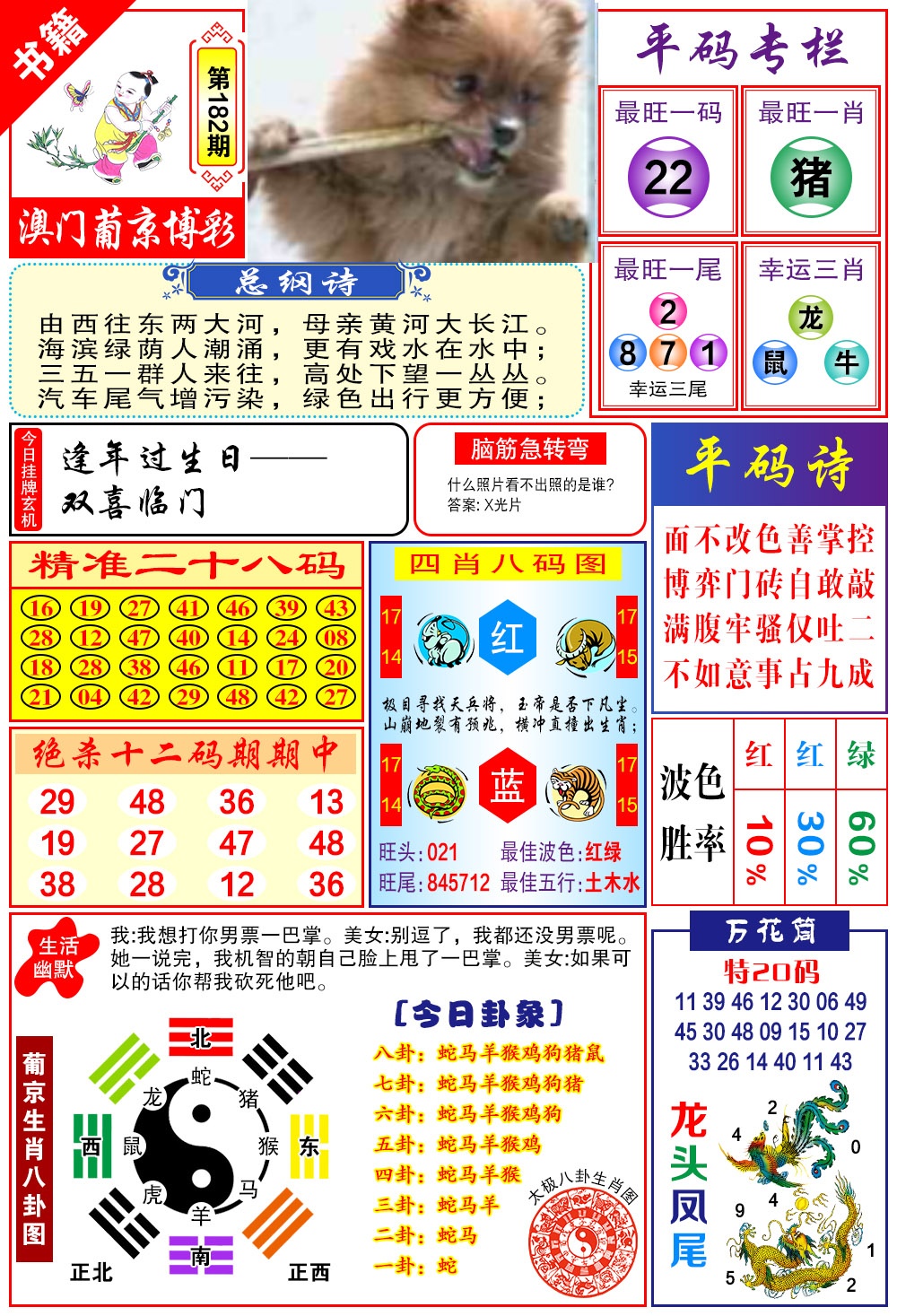 182期澳门万花筒[图]
