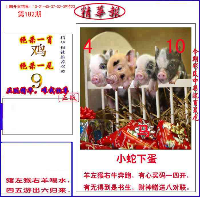 182期新精华报报[图]