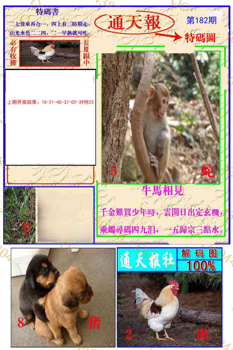 182期通天特解图[图]