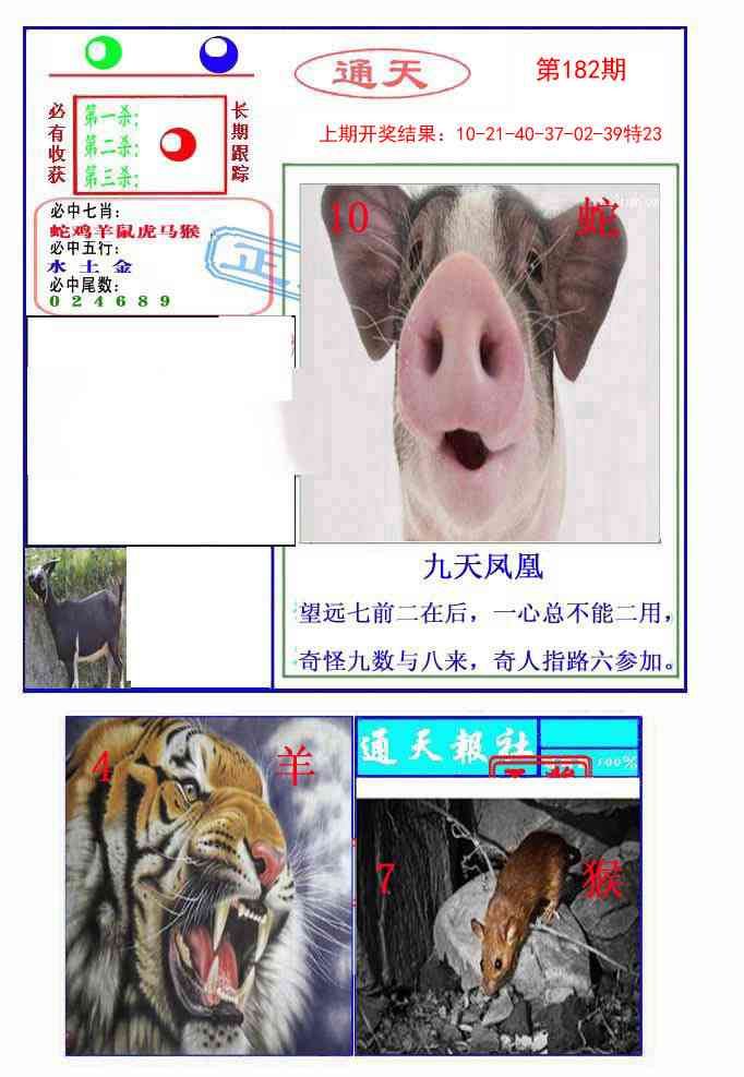 182期通天杀波图2[图]