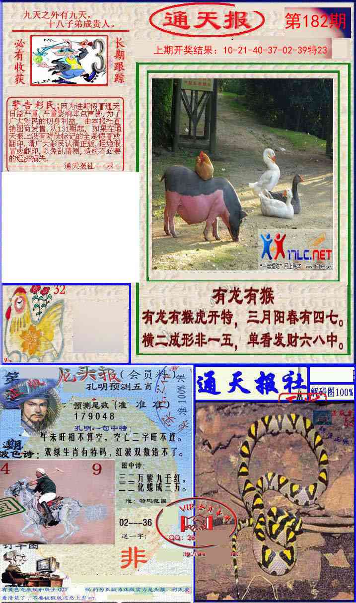 182期实力通天报[图]