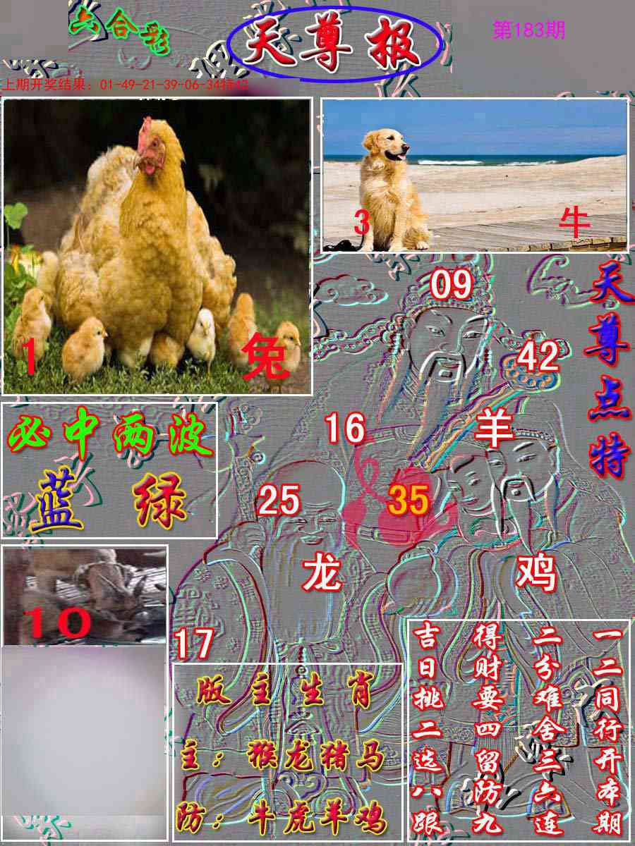 183期天尊报[图]