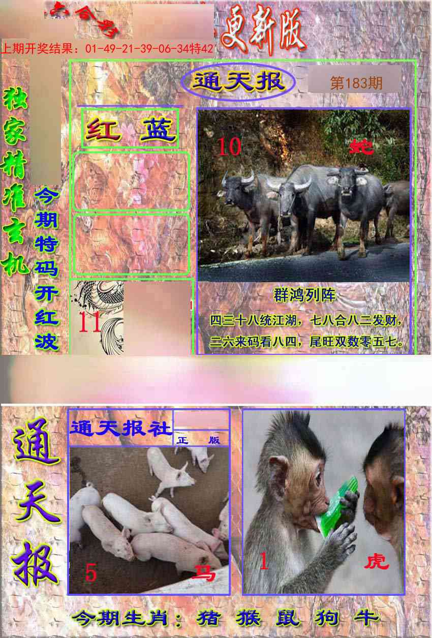 183期新通报[图]