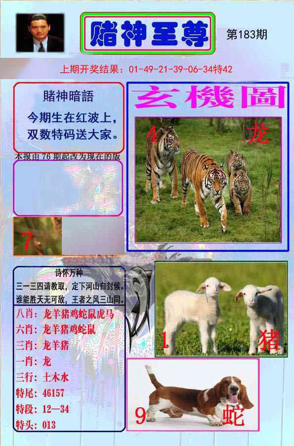 183期赌神至尊[图]