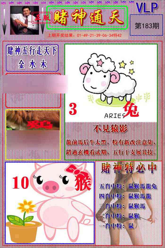 183期赌神通天报[图]