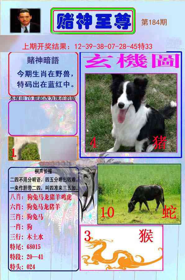 184期赌神至尊[图]